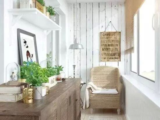 陽臺種什么植物比較好？植物風水有哪些禁忌？