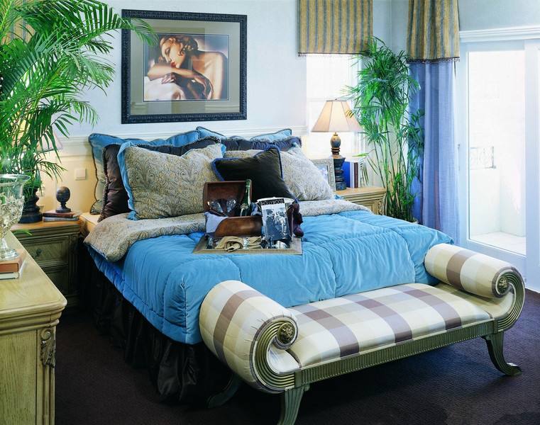 裝修風水：臥室植物哪種好？臥室植物風水有講究